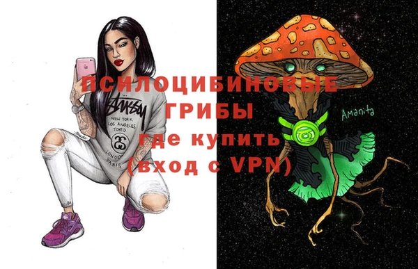 винт Армянск