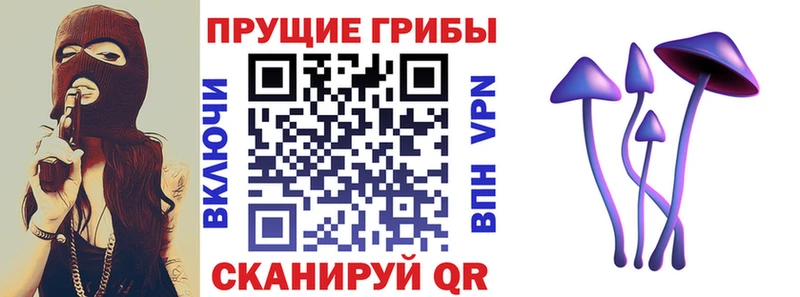 Псилоцибиновые грибы мухоморы  Нижняя Тура 